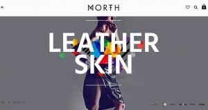 north-fashion-store-wordpress-theme