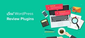 wordpress review plugin