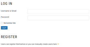 WordPress custom login and register